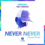 Drenchill Feat. Indiiana - Never Never (Skytech Remix)