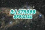 DJ Bobo & DJ Alligator - Do You Love is All Around (DJ STROBB Mash up)