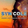 Syn Cole - Mind Blown (Andrey Vertuga & Dj ZeD Reboot) (Radio Edit)