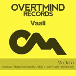 Vaali - Verdana (M3R-T Remix)