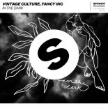 Vintage Culture & Fancy Inc - In The Dark (Extended Mix)