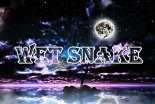 WeT Snake - Klubowa Noc