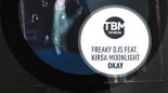 Freaky DJs ft. Kirsa Moonlight - Okay (KaktuZ Remix)