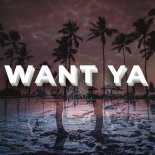 TaylorX - Want Ya (feat. Alana Hazzard)