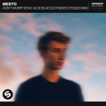 Mesto Feat. Aloe Blacc - Don\'t Worry (Otsem Extended Mix)