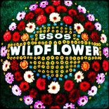 5 Seconds Of Summer - Wildflower