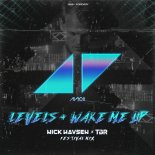 Avicii - Levels + Wake Me Up (Nick Havsen & TBR Festival Mix)