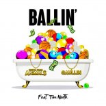 Digital Farm Animals & Gaullin feat. Tim North - Ballin  (Radio Edit)