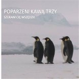 POPARZENI KAWĄ TRZY - Szukam Cię Wszędzie