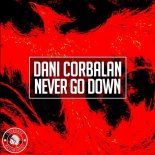 Dani Corbalan - Never Go Down (Radio Edit)