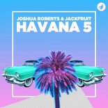 Jackfruit & Joshua Roberts - Havana 5 (Original Mix)