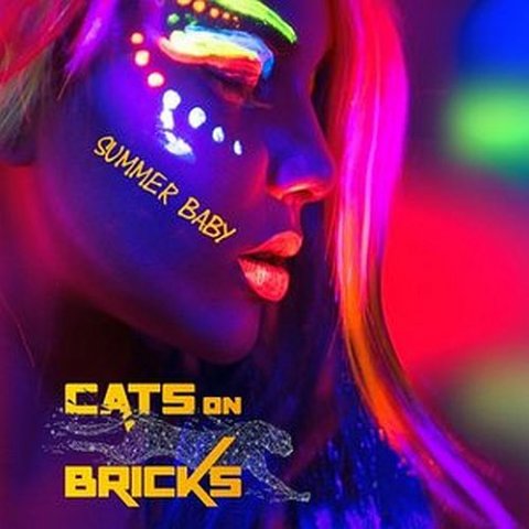 Cats On Bricks feat Zach Alwin - Summer Baby (Priest J & GOBA Big Room mix)