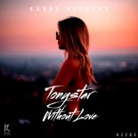 Tonystar - Without Love (Original Mix)