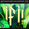 Breathe Carolina & Robert Falcon, Conor Maynard - IF U