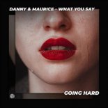 Danny & Maurice - What You Say (Radio Edit)