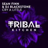 DJ Blackstone, Sean Finn feat. Liz - Cry A Little (Original Mix)