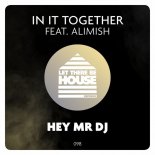 In It Together, Alimish - Hey Mr DJ (Extended Mix)