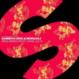 DAMIEN N-DRIX & MORGANJ ft. Anne July - Sing Swing (Extended Mix)