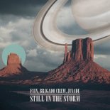 Fiin & Brigado Crew & Jinadu - Still In The Storm (Extended Mix)