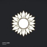 LIUFO, ABRO - Sunflower