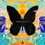 Tritonal feat. Laurell - Good Thing (Wozinho Remix)