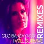 Gloria Gaynor - I Will Survive (Akadem1k Remix)