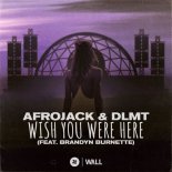 Afrojack & DLMT feat. Brandyn Burnette - Wish You Were Here (Extended Mix)