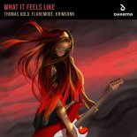 Thomas Gold, Flaremode, Krimsonn - What It Feels Like