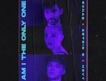 R3hab feat. Astrid S & HRVY - Am I The Only One