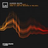 Q.U.A.K.E., Aaron Suiss, Peled - Indi C (Extended Mix)