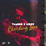 Vamero & LIZOT - Bleeding Love