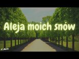 Arek Kopaczewski - Aleja Moich Snów (Z Rep. K. Martin)