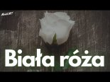 Arek Kopaczewski - Biała Róża (Z Rep. Model MT)