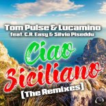 Tom Pulse & Lucamino feat. C.R. Easy & Silvio Piseddu - Ciao Siciliano (Timster Remix Edit)