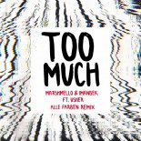 Marshmello & Imanbek ft. Usher - Too Much (Alle Farben Remix)