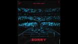 Alan Walker ft. ISÁK - Sorry