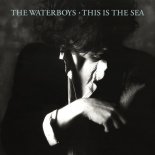 The Waterboys - The Whole of the Moon