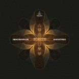 Imaginarium & Shivatree -  Reflections