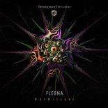 Flegma - PsyBizarre