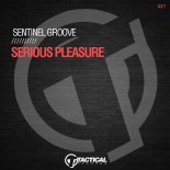 Sentinel Groove - Serious Pleasure (Original Mix)