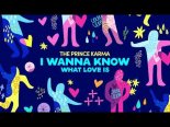 The Prince Karma - I Wanna Know What Love Is (Leo Burn Remix)