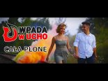 Wpada W Ucho - Cała Płonę