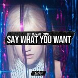 Jetfire, Amit Shauli - Say What You Want (Original Mix)