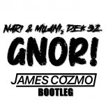 NARI & MILANI, DEK 32 - GNOR! (JAMES COZMO BOOTLEG)