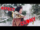 Affect - Cudny