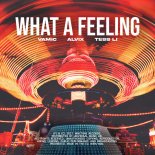 VAMIC feat.ALVIX & TESS LI  - WHAT A FEELING