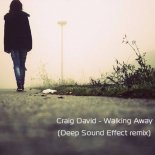 Craig David - Walking Away (Deep Sound Effect Remix)