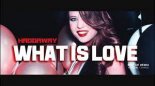 Haddaway - What Is Love (Stark'Manly X ROB Edit)