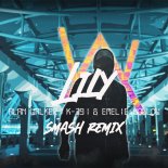 Alan Walker, K-391 & Emelie Hollow - Lily (SMASH Remix)