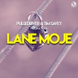 Pulsedriver & Tim Savey feat. Polina Vita - Lane Moje